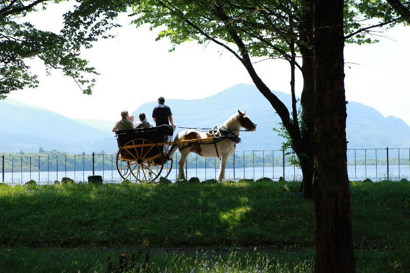 基拉尼 湖泊旅馆酒店 外观 照片